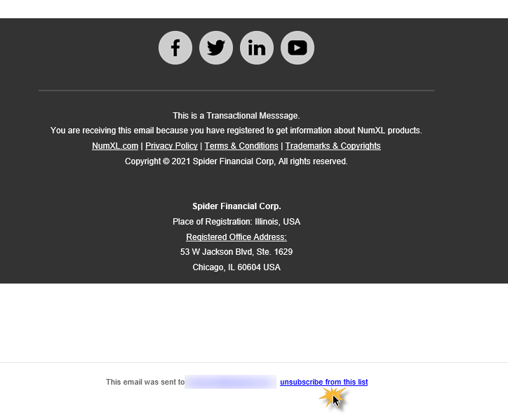 Diese Abbildung zeigt den Link zum Abbestellen in der Fußzeile einer beliebigen E-Mail von numxl